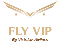 Home | Private Jet Charter | Professionalism and Luxury treatment from Vietnam